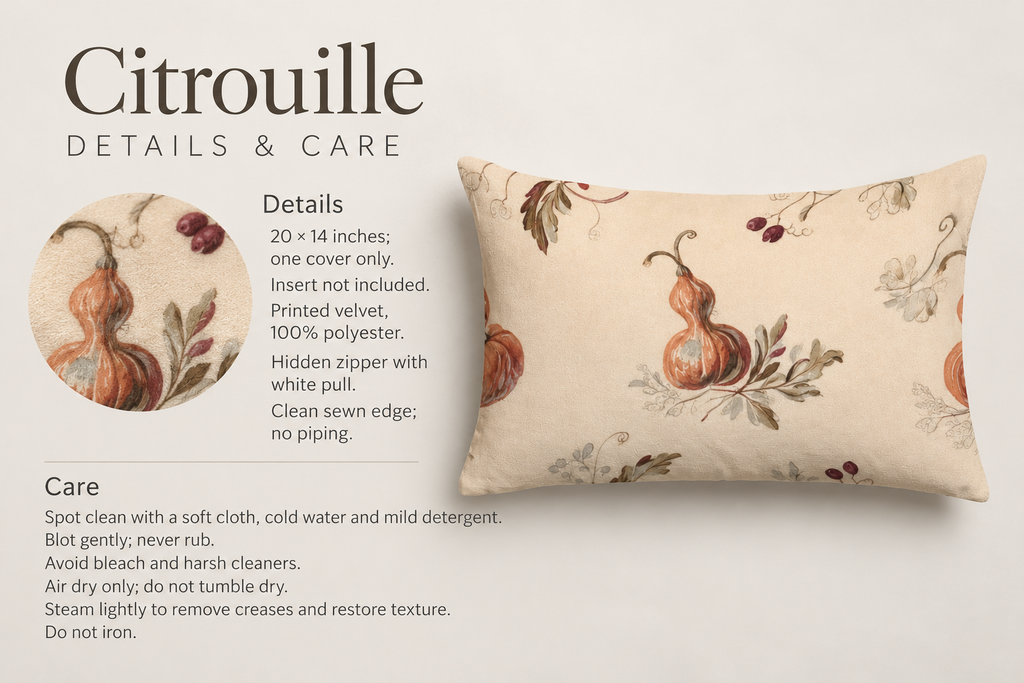 Citrouille Pumpkin Botanical Velvet Lumbar Pillow Cover — Terracotta & Parchment; verified details and care guide.